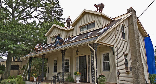Best Storm Damage Roof Repair  in Clayton, NJ